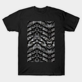 A Bear Walked This Way T-Shirt